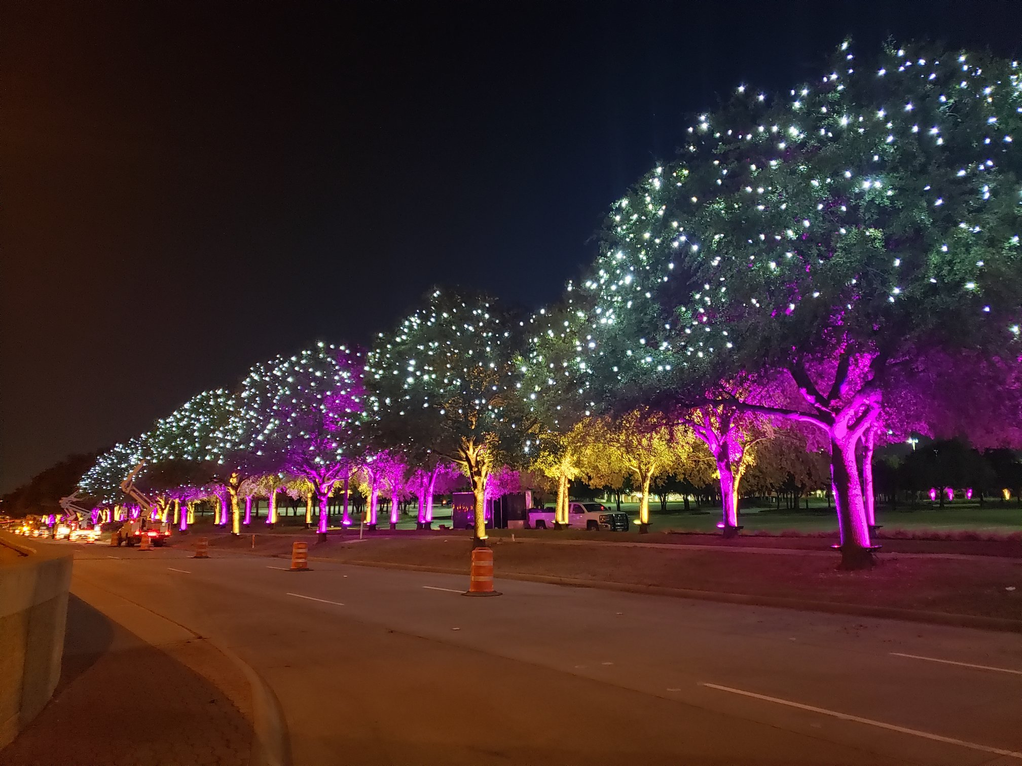 From Our Tour of Trees to The Shops at Willow Bend — Get to Know Justin